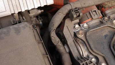 Graužikų padaryta žala automobiliui
