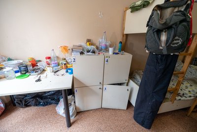 Vilniaus „Vilko pėdos“ namai