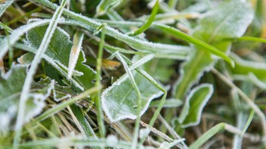 Šalnos trauktis neketina – temperatūra kris ir iki 8 laipsnių šalčio