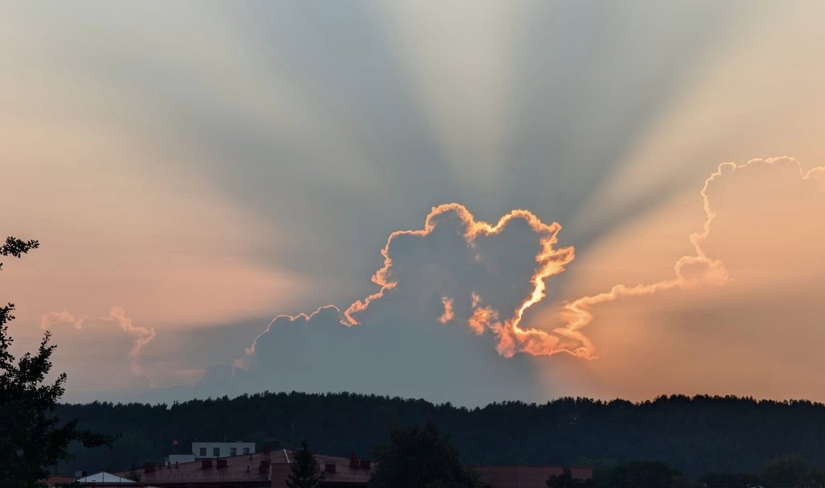  Krepuskuliniai (arba sutemų) spinduliai Vilniuje