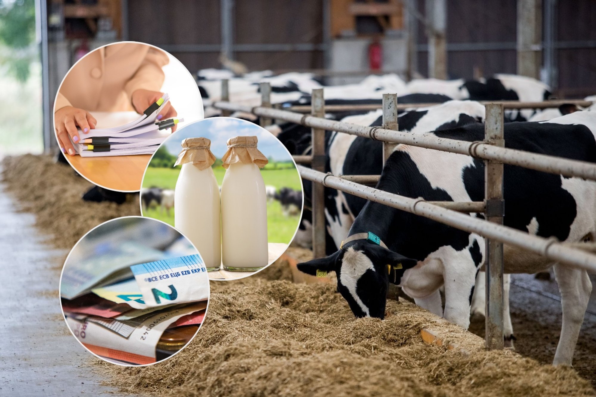 Lithuania Considers 'Revolution' in Farm Support for Young Farmers