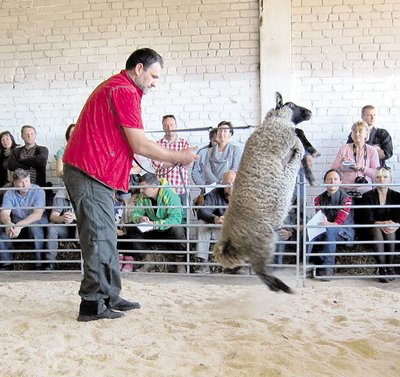 Giedrius Prakapavičiaus pastebi, kad dalis klientų nori tik tam tikrų gyvulių dalių