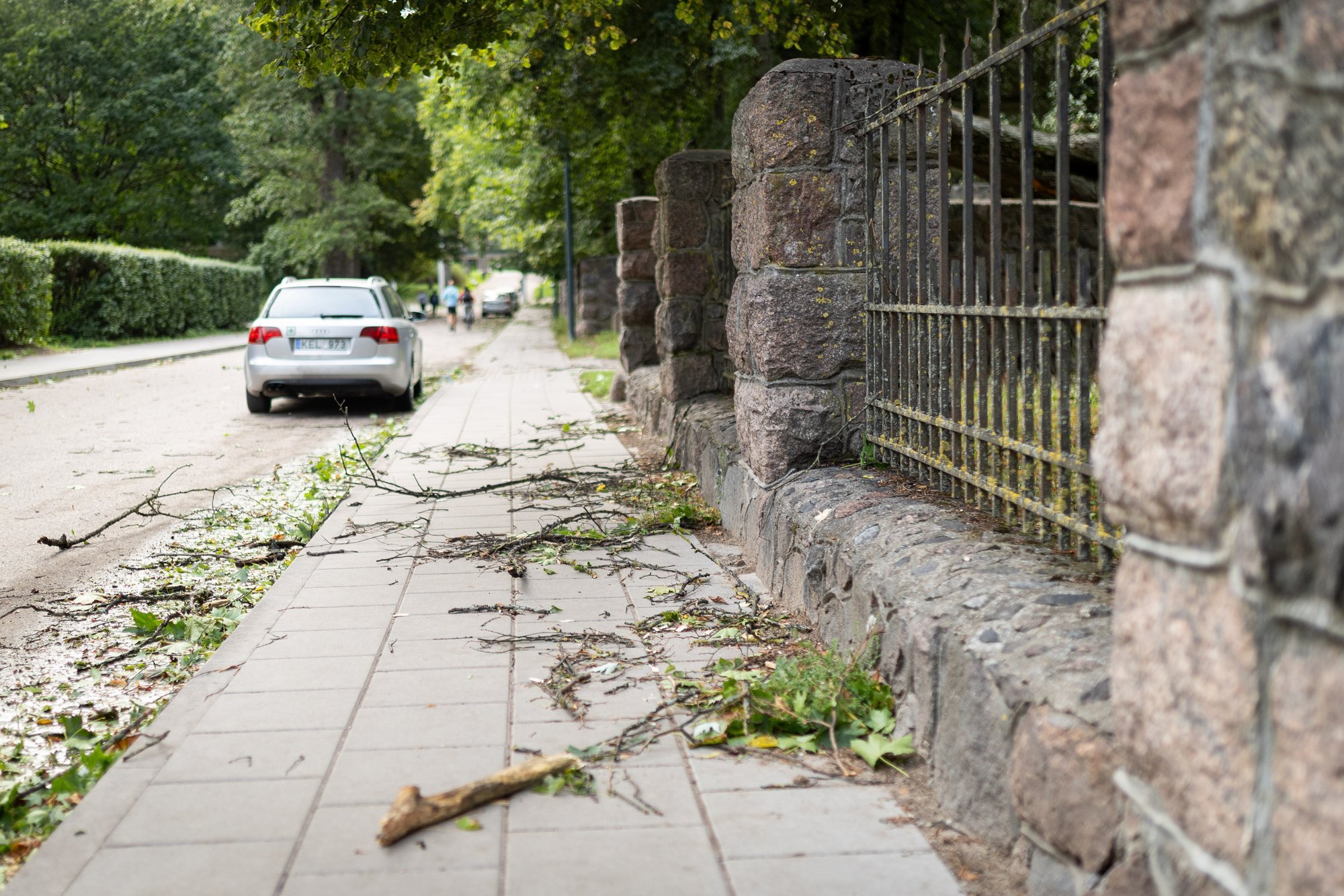 Storm aftermath: One dead, four injured as trees fall across Lithuania