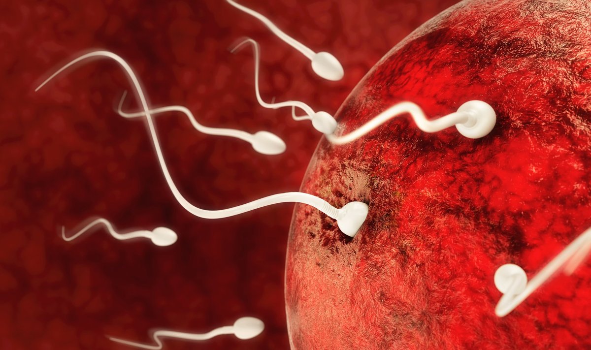 Jinsiy aloqa rus qiz cums Onlaynda buzuq rohibalar bilan porno tomosha qiling