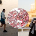 Po sniego porcijos – naujausia sinoptikės žinia: netrukus vėl sulauksime dviženklės šilumos 