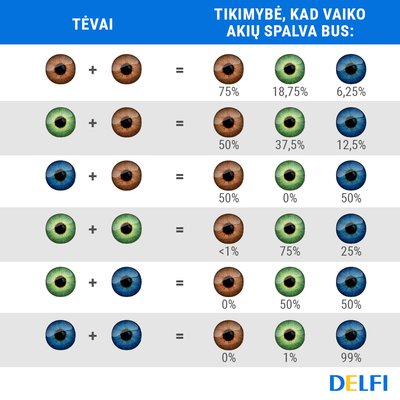 Tikimybės, kokios spalvos bus naujagimio akys