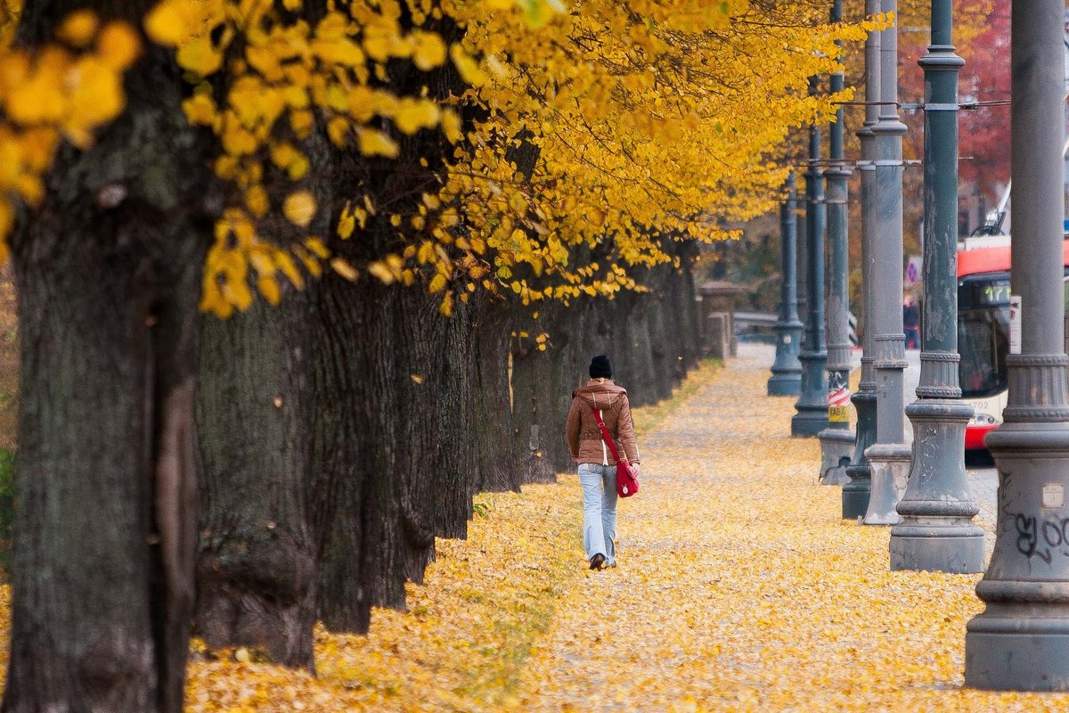 Kokiai rudens pradžiai nusiteikti: kada ir kaip prasidės šaltasis ...