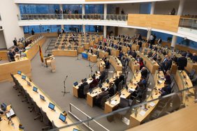 Dudėnas yra tikrai ne pirmas Seimo malonės sulaukęs parlamentaras