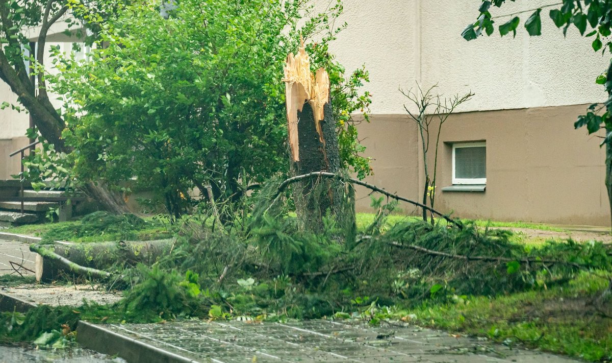 Audros padariniai Panevėžyje