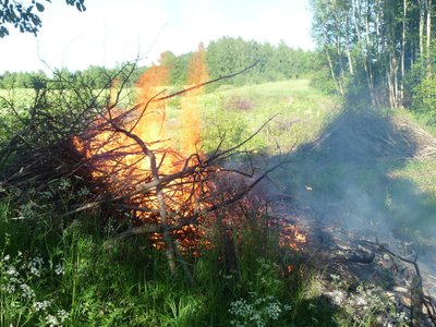 Gyvenvietėse laužų deginti negalima