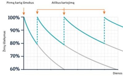 Norint nepamiršti, galima laikytis šios struktūros: mokausi, pasikartoju po 30 min., pasikartoju prieš miegą, pasikartoju ryte, pasikartoju po 3 dienų, pasikartoju po savaitės. 