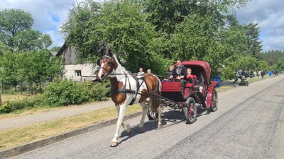 Pasivažinėjimas karieta. Niuronys 2023