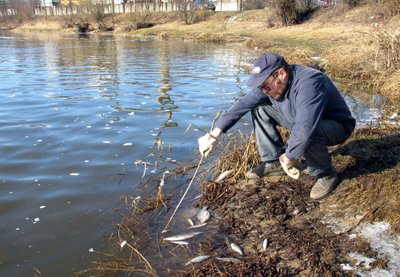 Kartais nuo į vandens telkinį patekusių srutų žūsta net žuvys