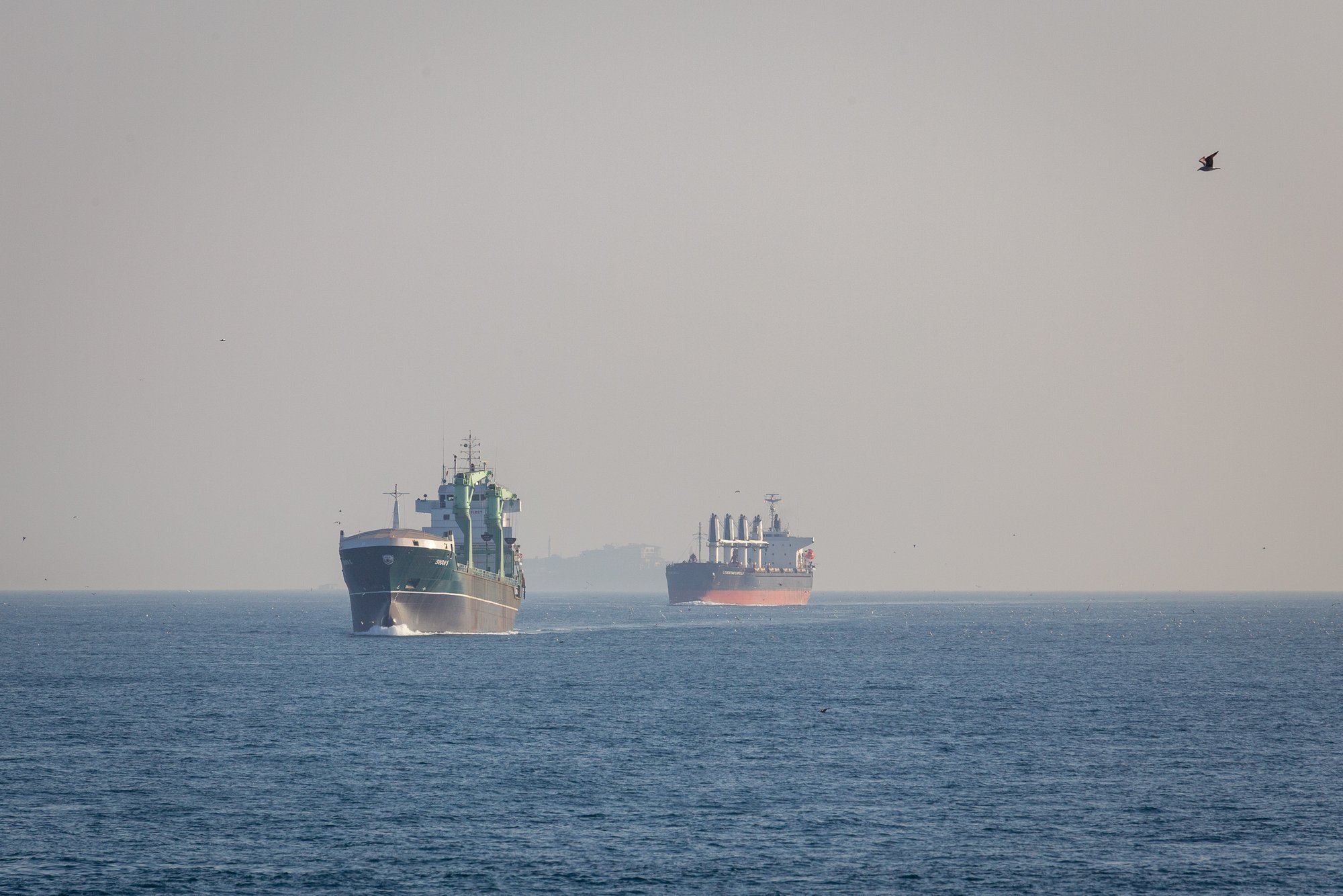 Russia Strikes Civilian Grain Ship in Black Sea, Ukraine Reports