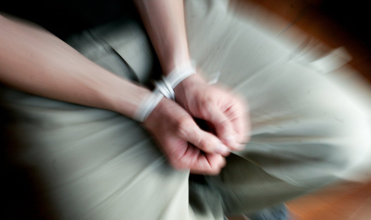 трахнул спящую