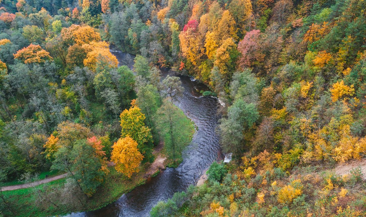 Vilnius Rudeni Pasigrožėkime lietuviško rudens palete: kodėl medžiai nusidažo ...