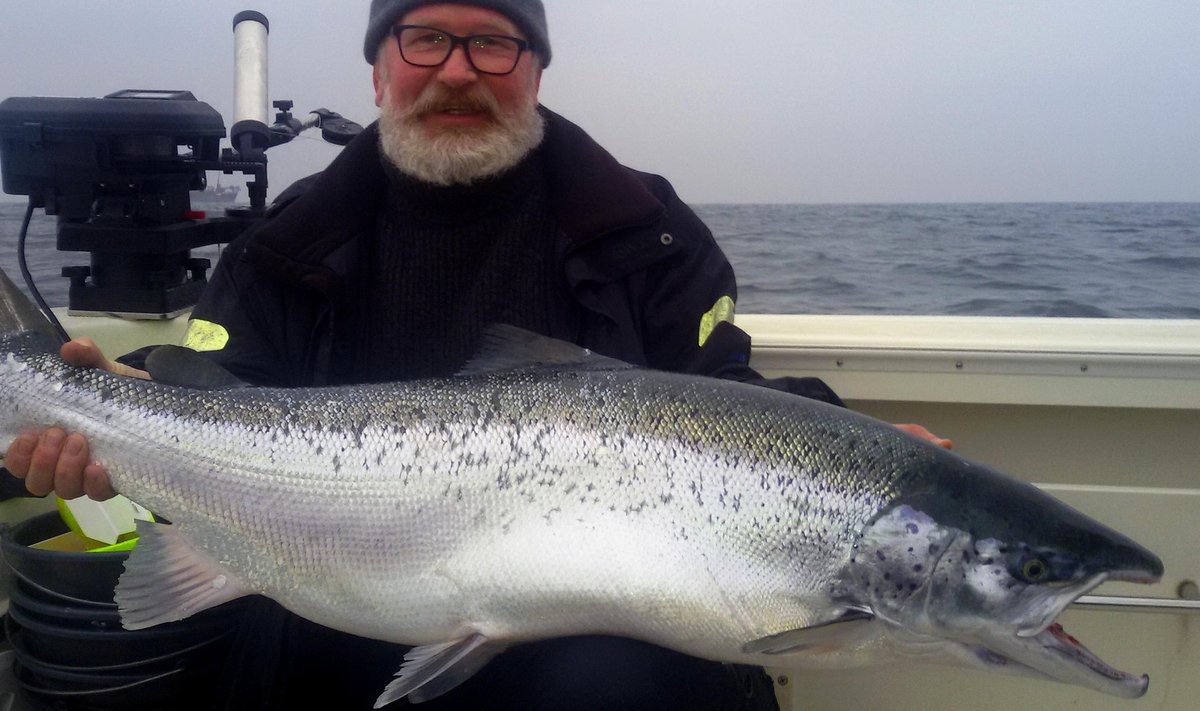 How Many New Bosses In Elden Ring Nightreign Dlc How Many New Bosses In Elden Ring Nightreign Dlc