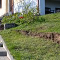 Prestižiniame Vilniaus rajone pagaliau griuvo nelegali tvora: kova su pažeidėjais truko kone dešimtmetį