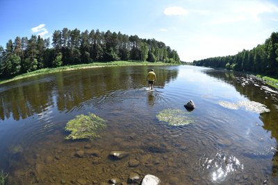 Nusekęs Nemunas