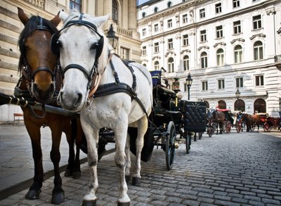 Austrija, Viena