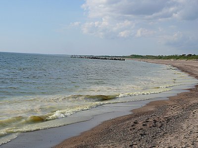 Vandeniui pakeitus spalvą žmonės bristi į jūrą nesiryžo