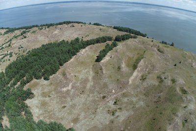 Baltijos jūros pakrantė / Foto: Aplinkos apsaugos agentūra