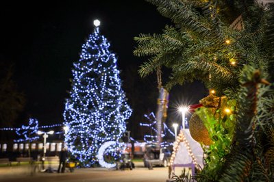 Naujamiesčio Panevėžio rajone Kalėdų eglės įžiebimas