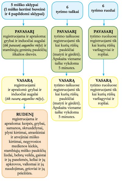 Miškų stebėsenos schema