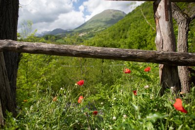 Markės regionas Italijoje (Natalios Mahoks nuotr.)