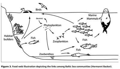 Baltijos biologinė įvairovė