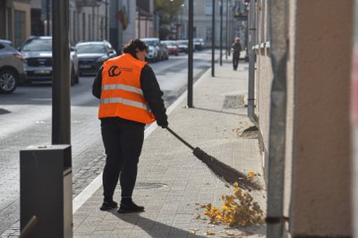 Mieste grėbiami lapai