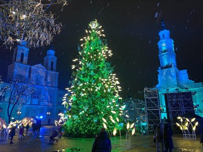 Kauno eglės įžiebimas (2021 m.)