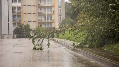 Klimatologas nurodė, ko laukti iš spalio ir kada gali pasirodyti pirmosios šalnos