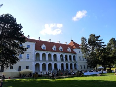 Biržų pilis