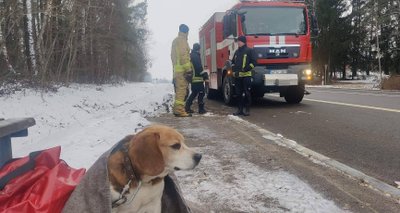 Ugniagesių išgelbėtas biglis