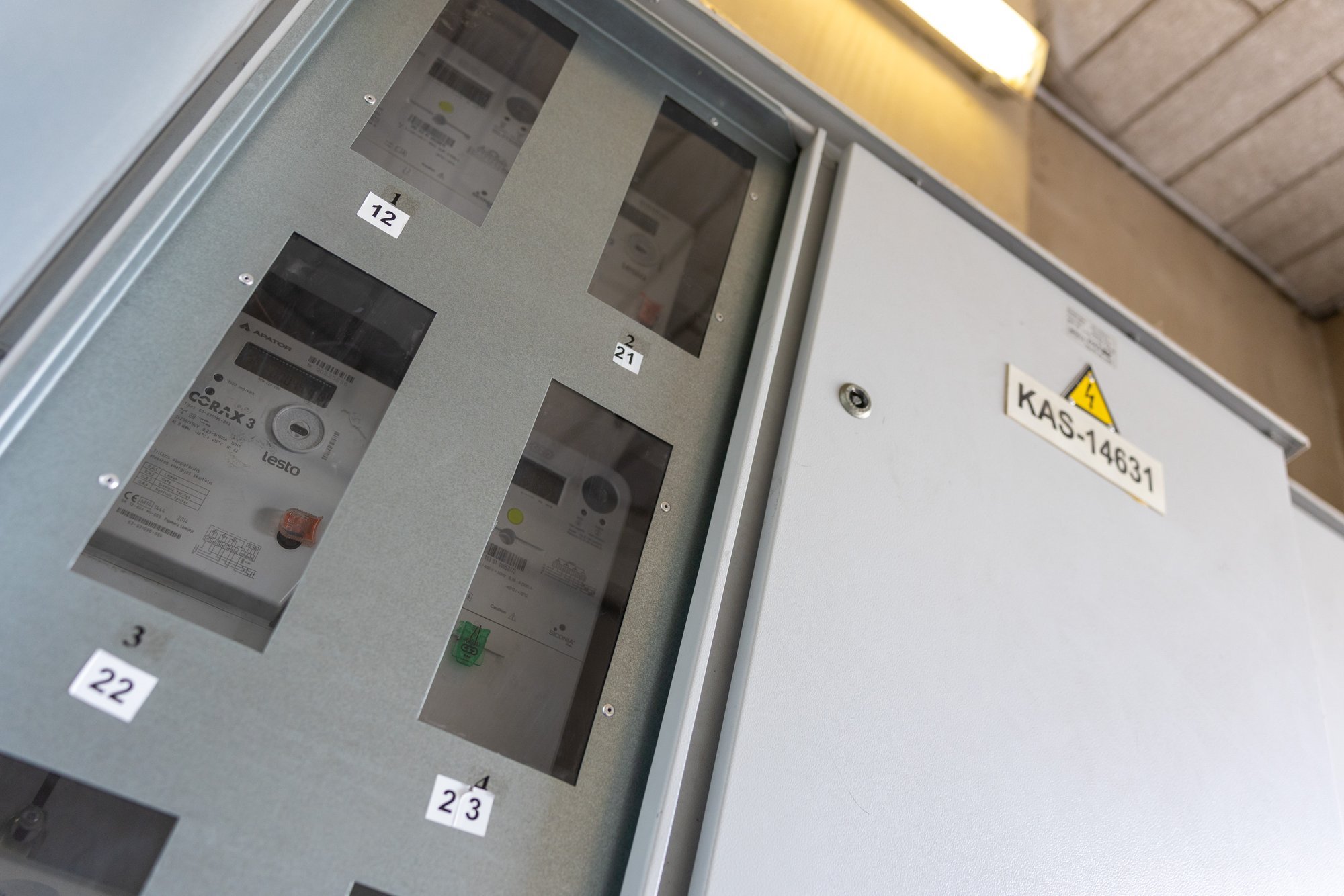 Nearly 20,000 customers left without electricity in Lithuania