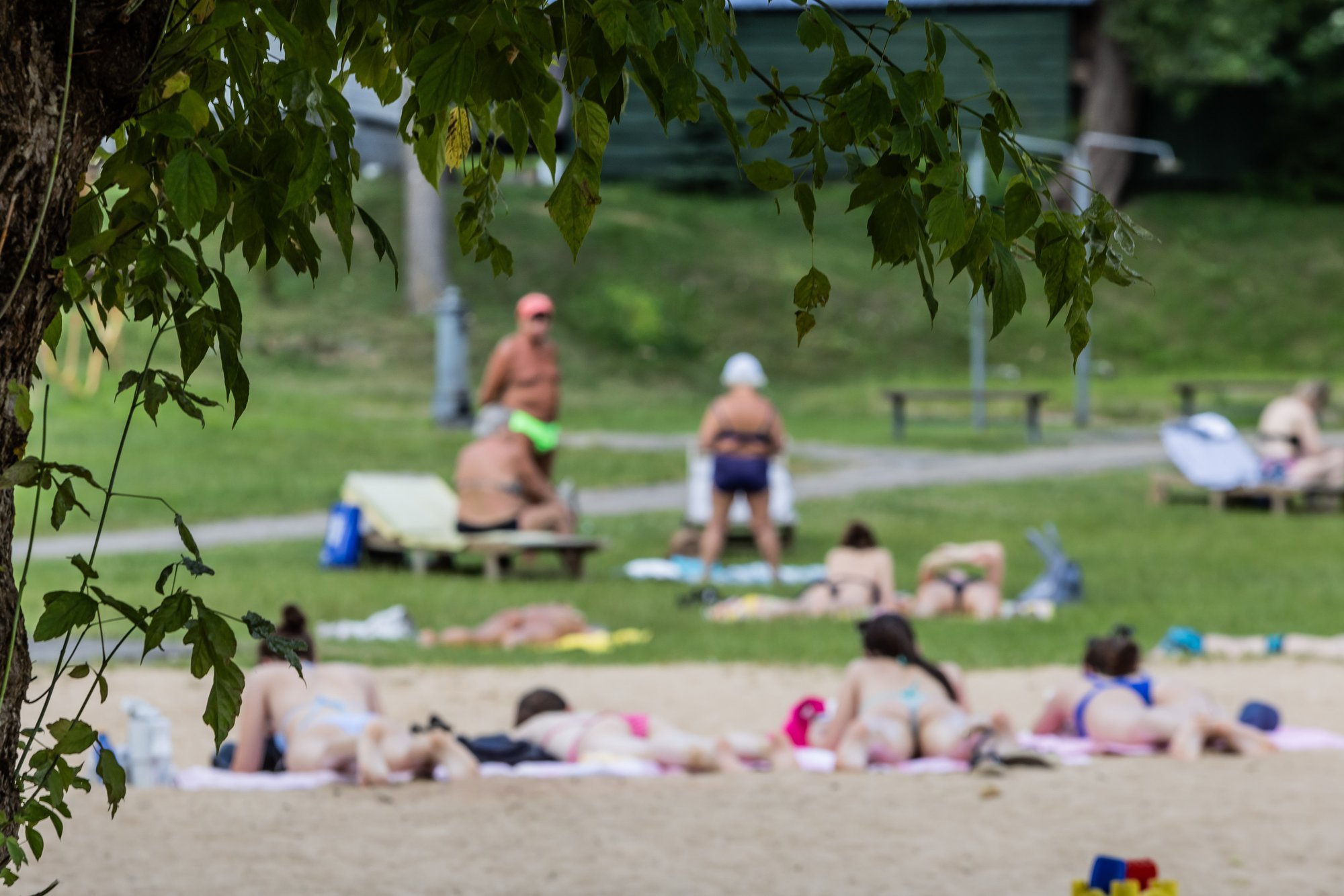 Easy half-day trips for families in Lithuania