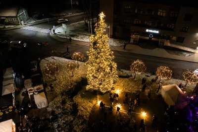 Mylimiausia eglutė išrinkta Molėtuose sužibusi Kalėdų eglė