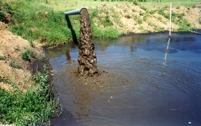 Sapropelis lėtai mineralizuojasi ir maisto medžiagas atpalaiduoja lėtai, jo teigiamas poveikis dirvai gali išlikti net iki 20 metų