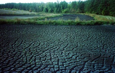 Sausoje medžiagoje gali būti iki 98 proc. organinių medžiagų