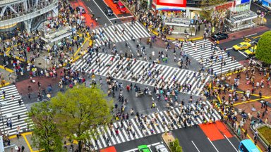 Lithuania and Japan agree to strengthen strategic partnership – MFA