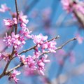 Неделя завершится приятной погодой, но на следующей неделе погода изменится