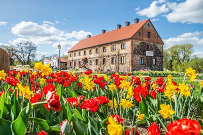 Pavasario gėlių ir tulpių festivalis „Pavasario simfonija“