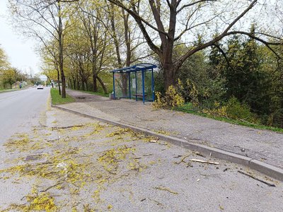 Dar viena didelė šaka lūžo miesto Tilto gatvėje. Čia šaka krito ant pėsčiųjų ir dviračių tako, visai šalia autobusų laukimo paviljono (Dimitrijaus Kuprijanovo nuotr.)