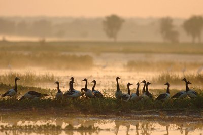 Kakadu nacionalinis parkas, Australija