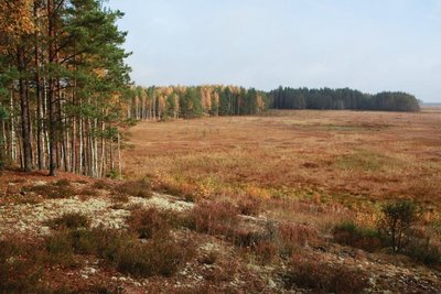 Čepkelių valstybinis gamtinis rezervatas