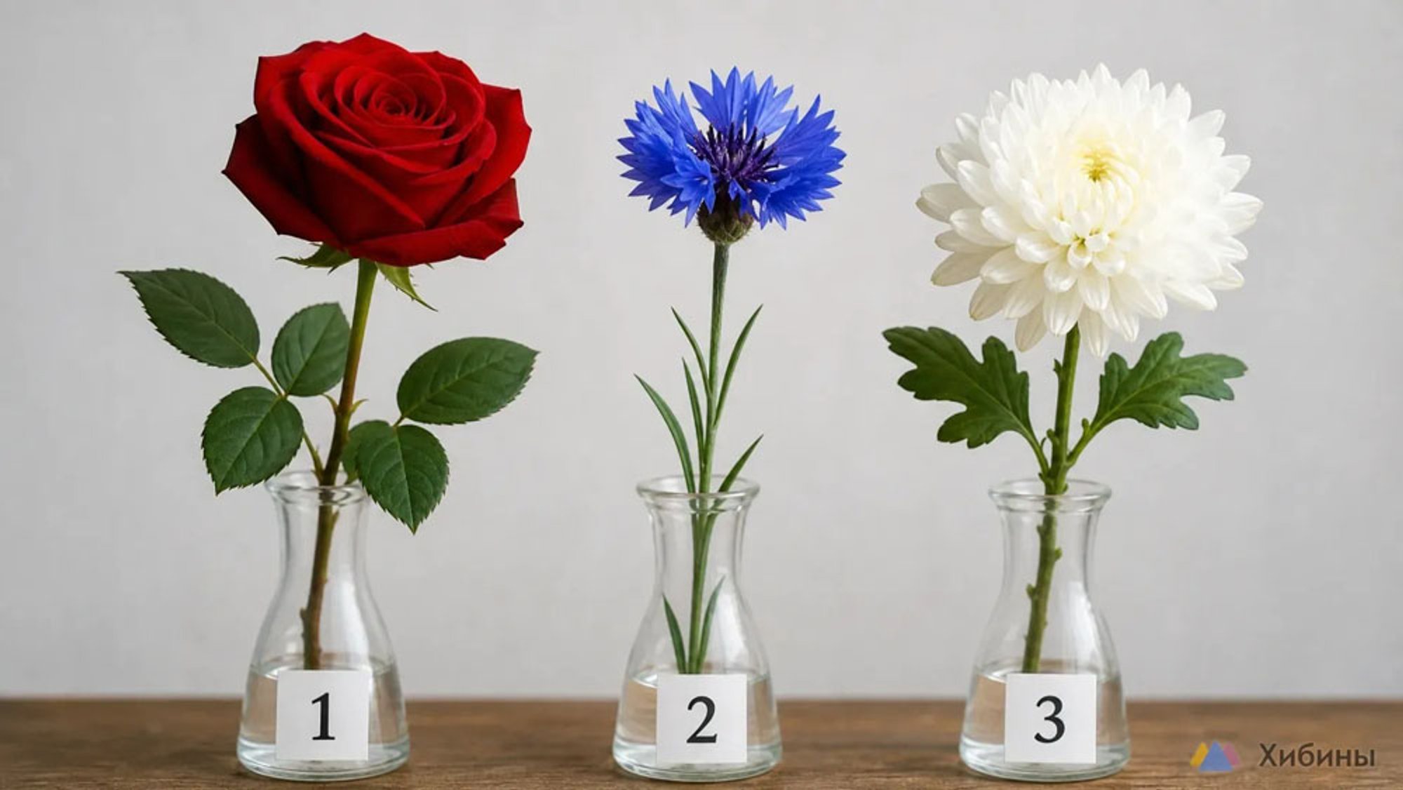 Psychological test: choose one flower and find out if you can defend your opinion