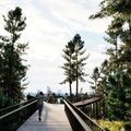 Geologai pasisakė apie „Mamuto parką“ Vilniuje: tai bus vienintelė tokia sostinė