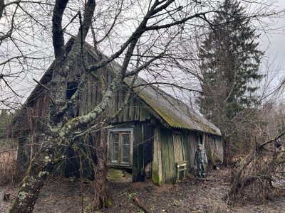 Eglė Granickienė/ Agnės Budvytytės nuotr.