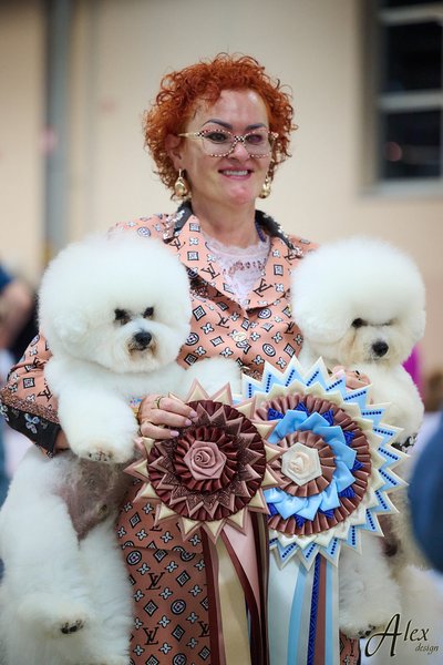 Veisėja Janita J. Plungė ir „Tauro Kennel“ veislyno Garbanotieji bišonai – tėtis Misoko Veteranų Europos nugalėtojas 2024 ir sūnus – Tauro Kompiam – Europos klubo jaunimo nugalėtojas 2024.